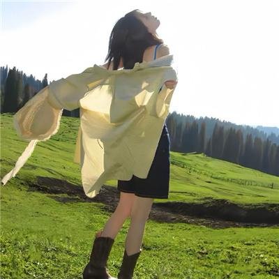 精忠岳飞